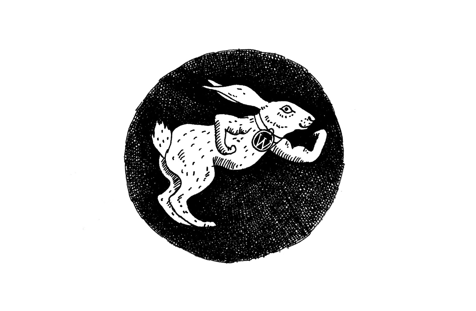 Bunny rabbit racing. 