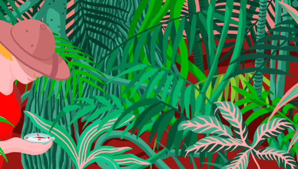 Explorer in the jungle