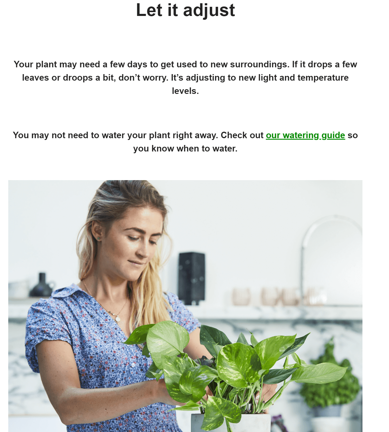 Example of an email course from Patch