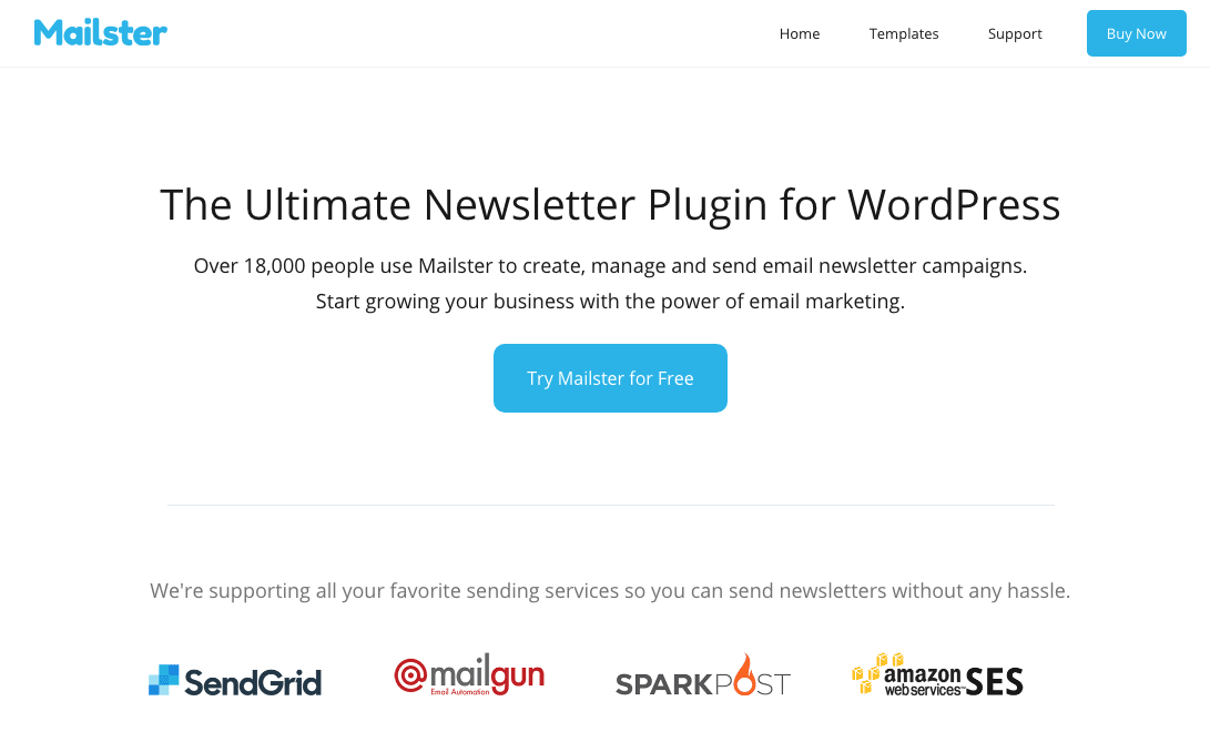 Mailster homepage.