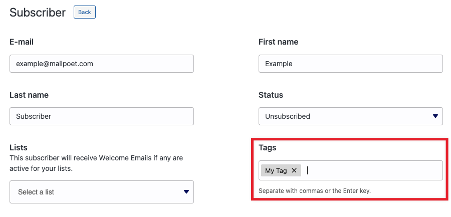 The subscriber profile Tag field with a tag being typed