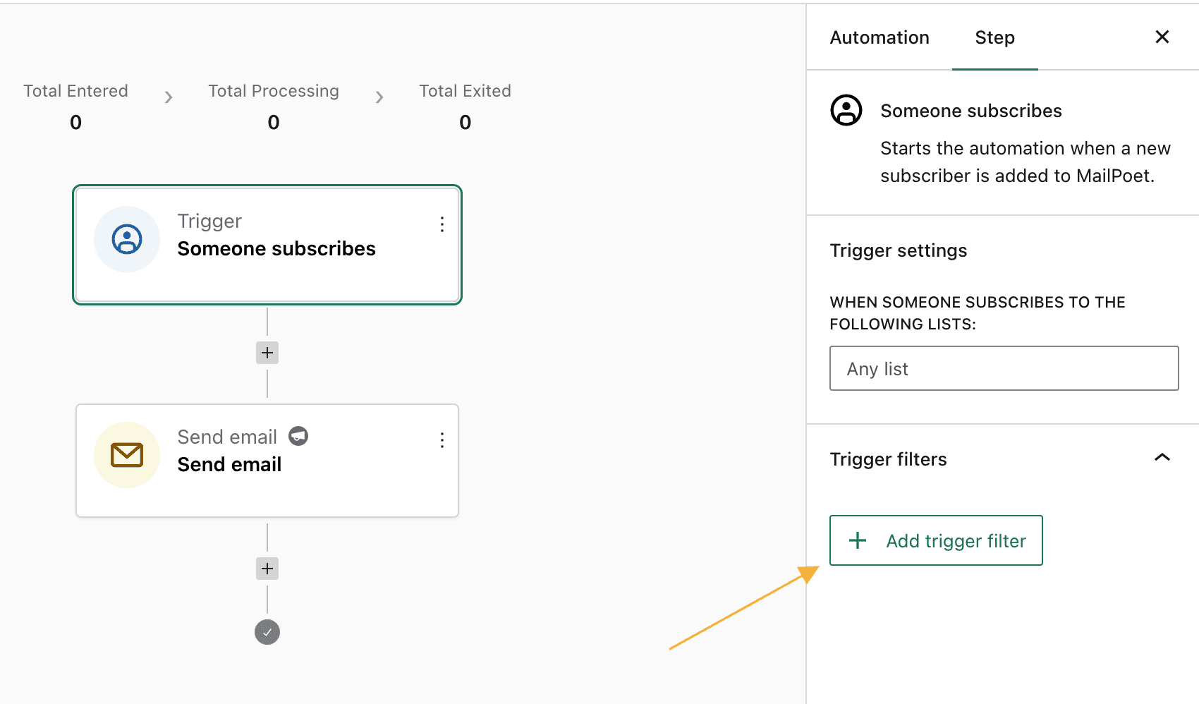 The trigger settings with the Add Trigger Filter button in the automation editor.