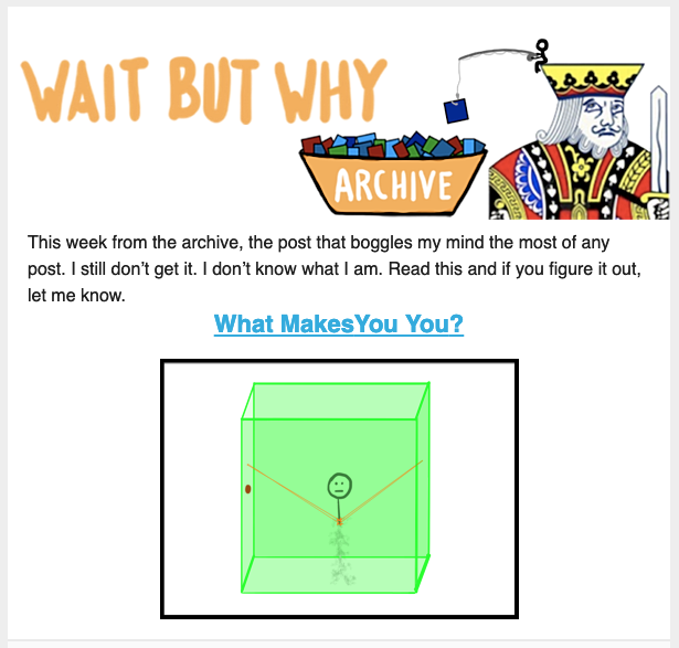 An example of a Wait But Why email.